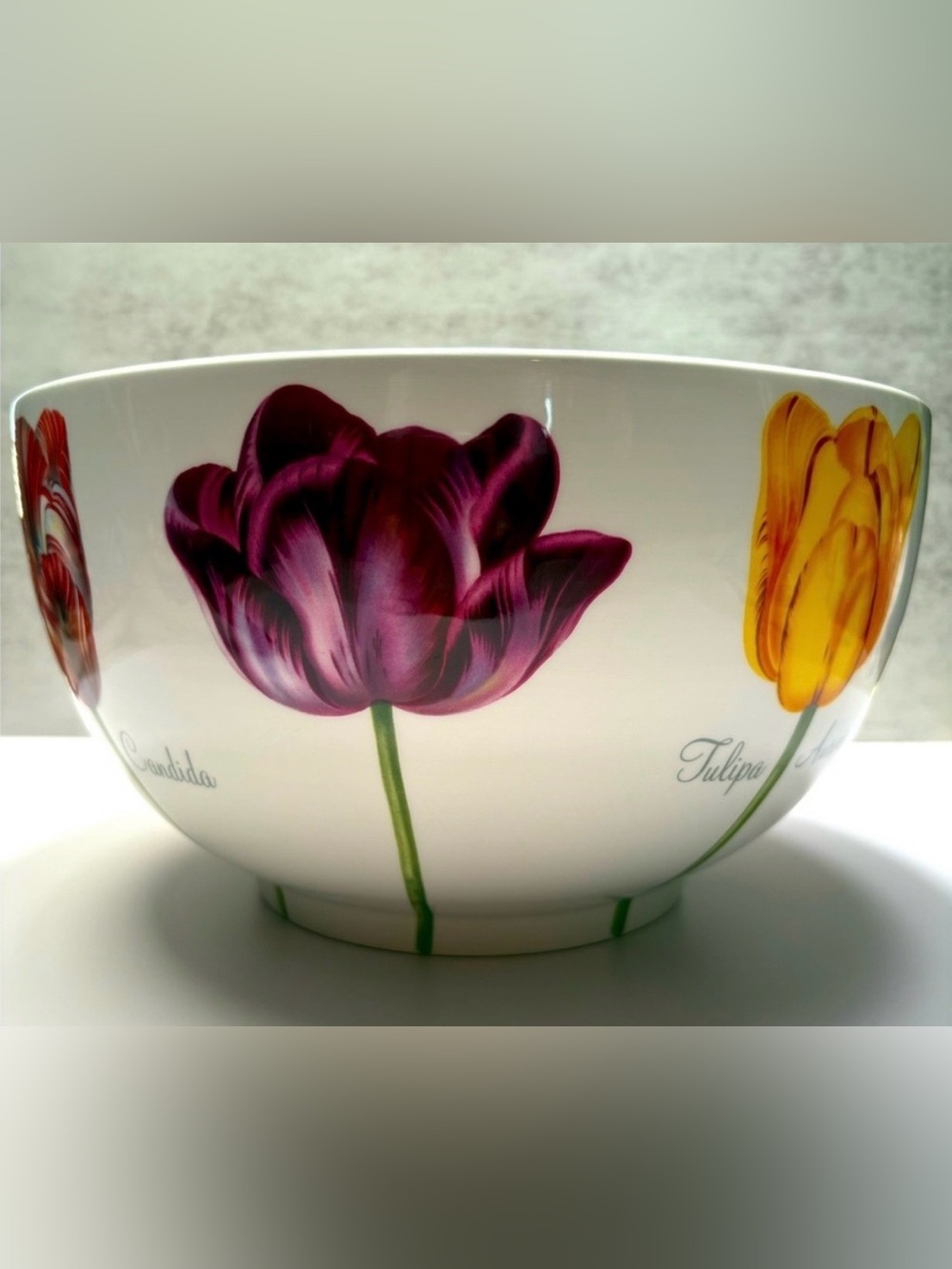 Lord and Taylor Pottery Tulip Bowl R.B. Bernarda Portugal Serving Bowl